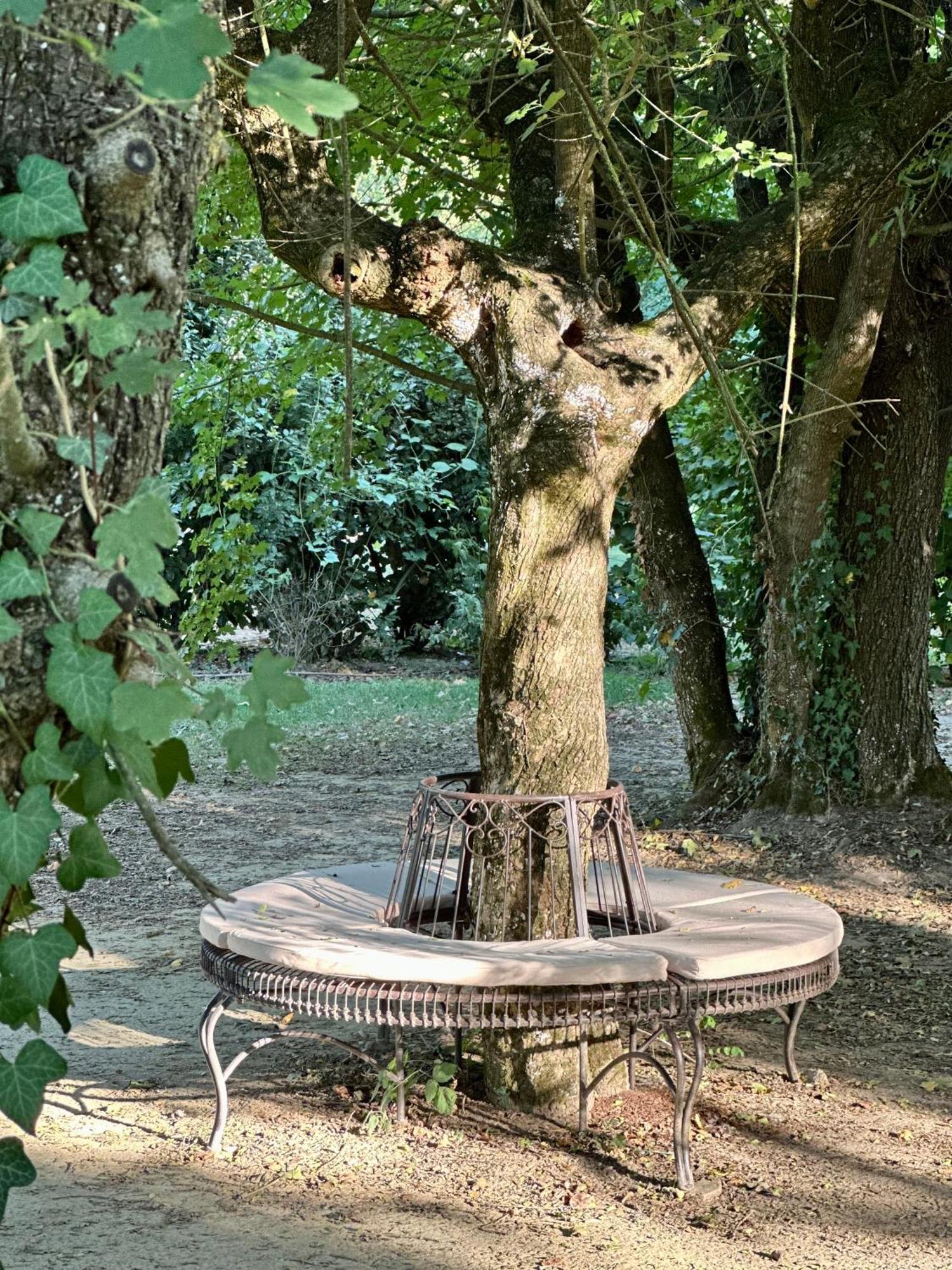 Casale La Gora - B&B Di Charme Figline Valdarno Eksteriør billede