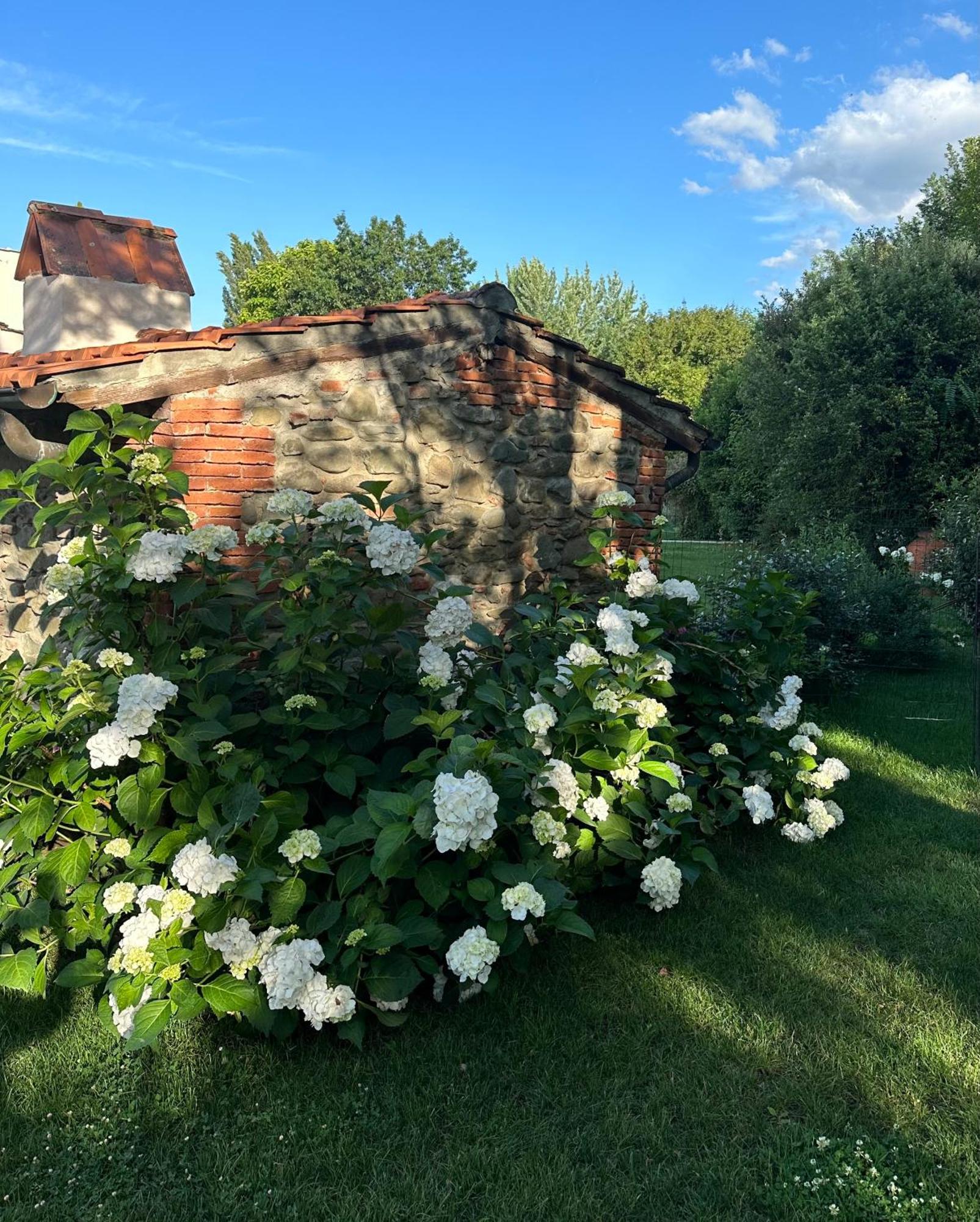 Casale La Gora - B&B Di Charme Figline Valdarno Eksteriør billede